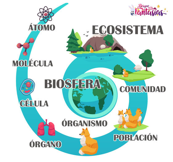 QUÉ ES LA BIOSFERA Lo entiendo